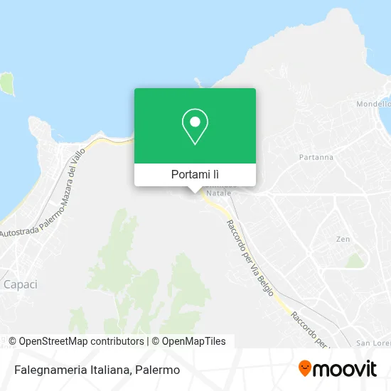 Mappa Falegnameria Italiana