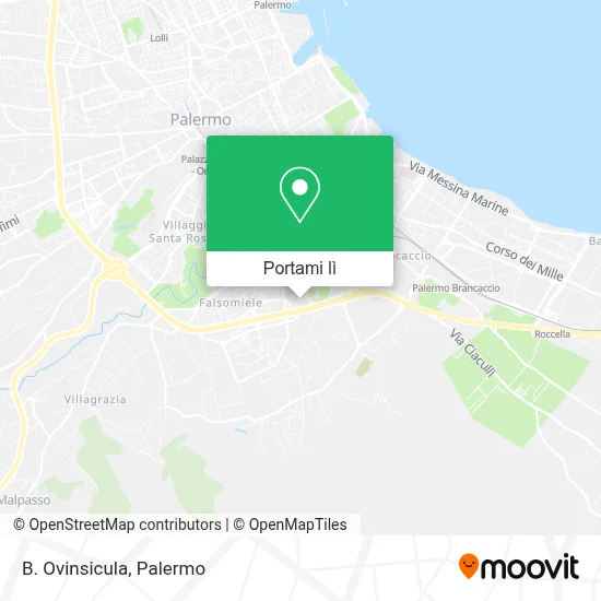 Mappa B. Ovinsicula