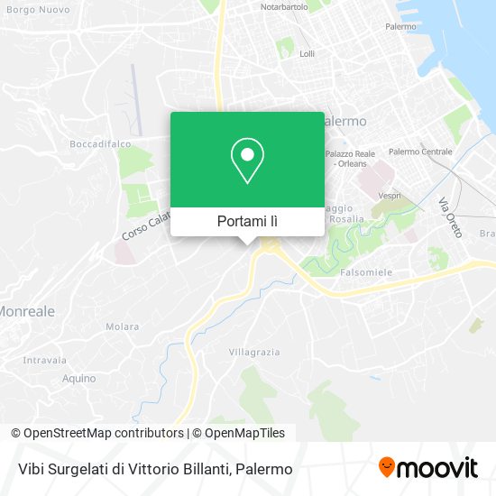 Mappa Vibi Surgelati di Vittorio Billanti