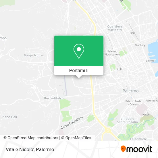 Mappa Vitale Nicolo'