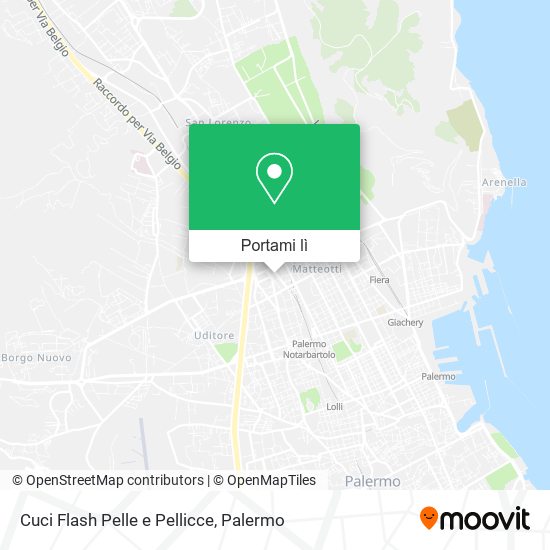 Mappa Cuci Flash Pelle e Pellicce