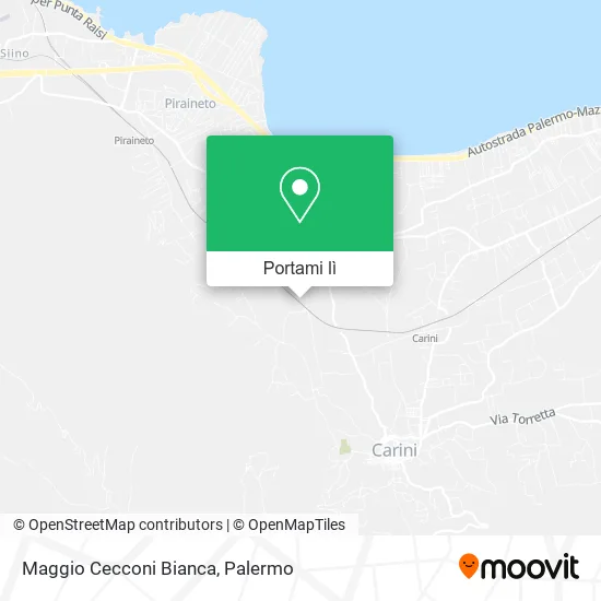 Mappa Maggio Cecconi Bianca