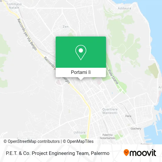 Mappa P.E.T. & Co. Project Engineering Team