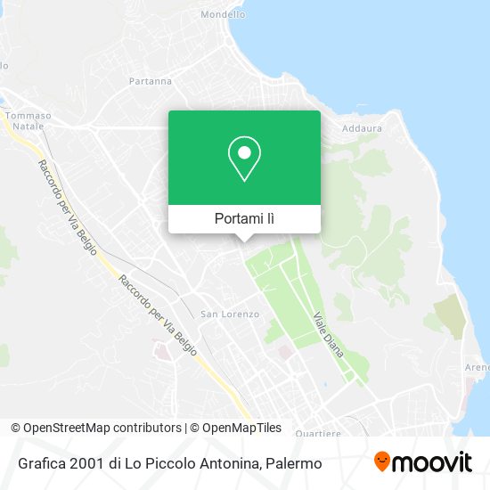 Mappa Grafica 2001 di Lo Piccolo Antonina