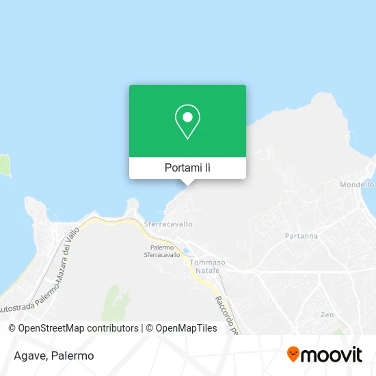 Mappa Agave