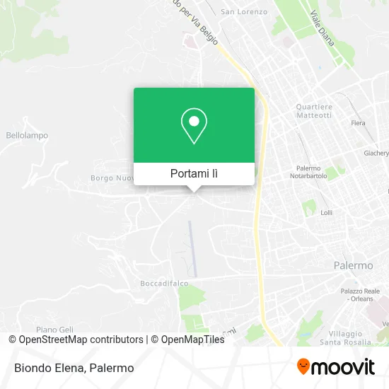 Mappa Biondo Elena