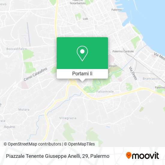 Mappa Piazzale Tenente Giuseppe Anelli, 29