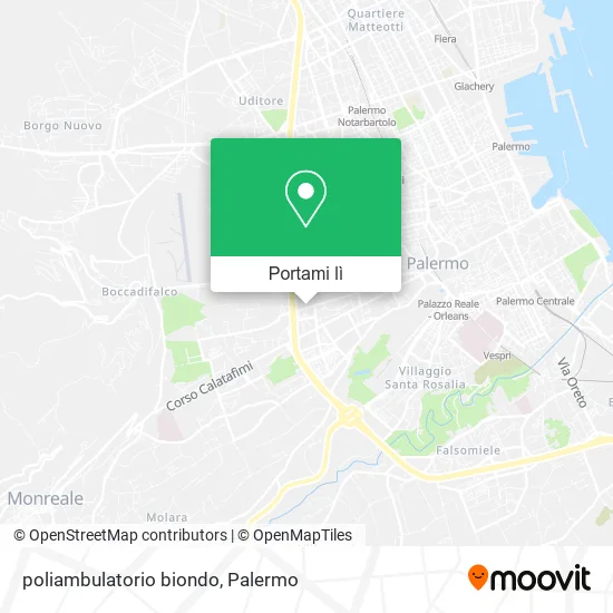 Mappa poliambulatorio biondo
