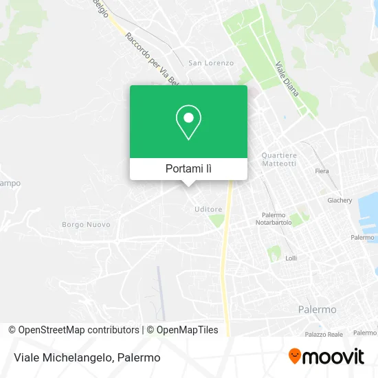 Mappa Viale Michelangelo