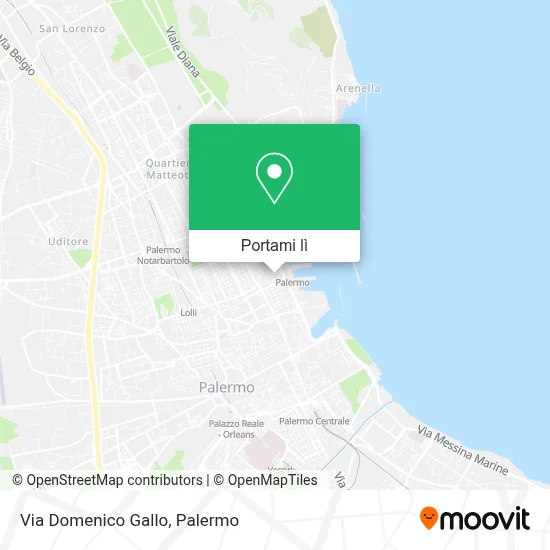Mappa Via Domenico Gallo