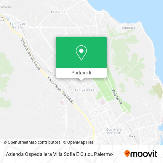 Mappa Azienda Ospedaliera Villa Sofia E C.t.o.
