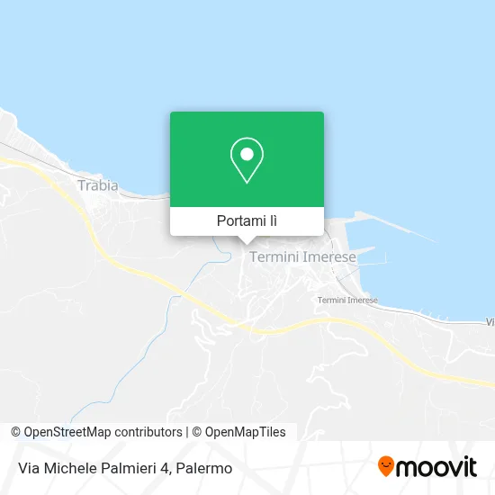 Mappa Via Michele Palmieri 4
