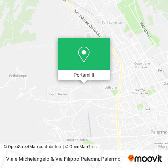 Mappa Viale Michelangelo & Via Filippo Paladini