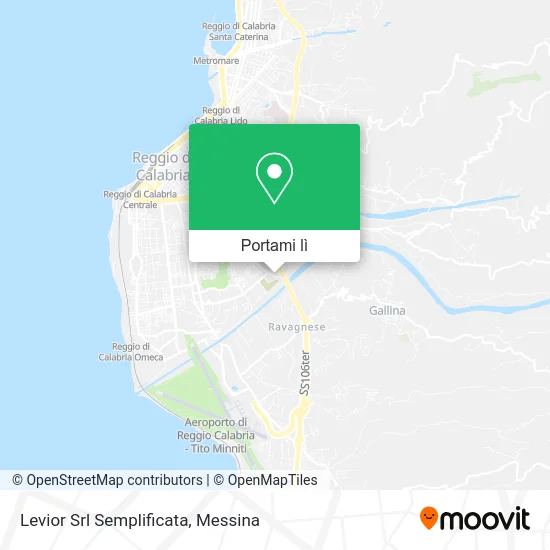 Mappa Levior Srl Semplificata