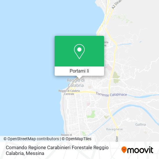 Mappa Comando Regione Carabinieri Forestale Reggio Calabria
