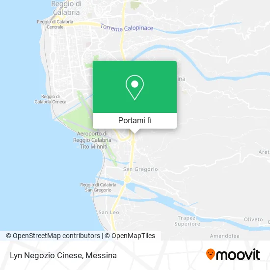 Mappa Lyn Negozio Cinese