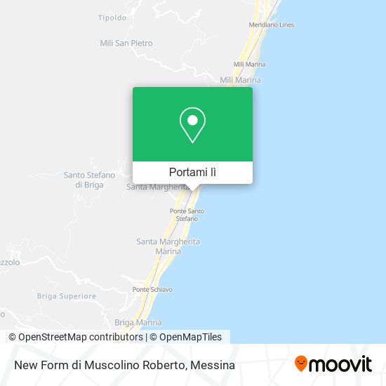 Mappa New Form di Muscolino Roberto