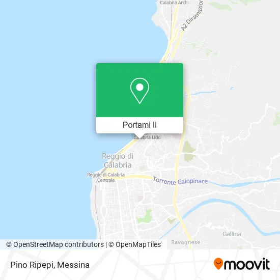Mappa Pino Ripepi