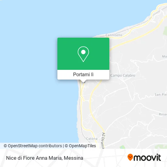 Mappa Nice di Fiore Anna Maria
