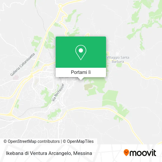 Mappa Ikebana di Ventura Arcangelo