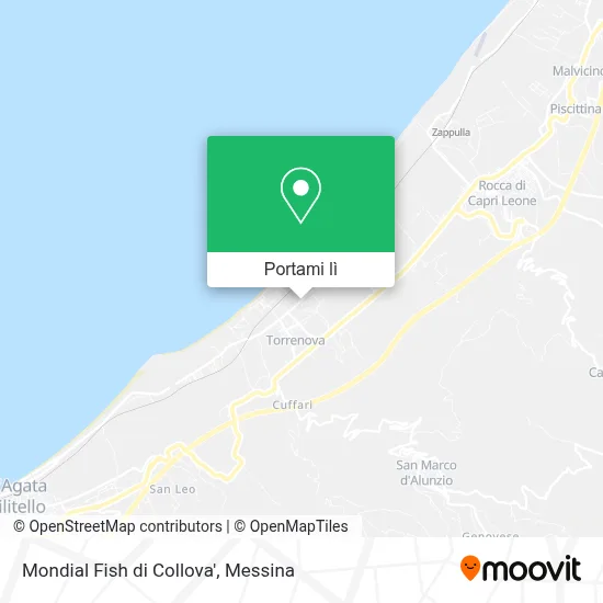 Mappa Mondial Fish di Collova'