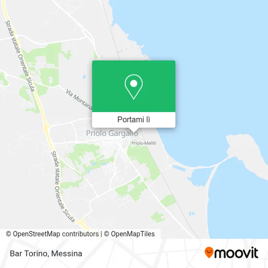 Mappa Bar Torino