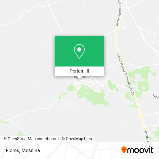 Mappa Flores