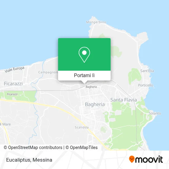 Mappa Eucaliptus