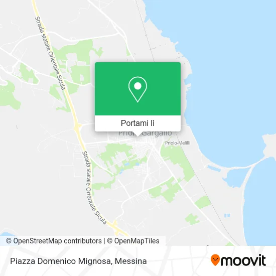 Mappa Piazza Domenico Mignosa