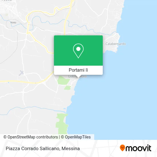 Mappa Piazza Corrado Sallicano
