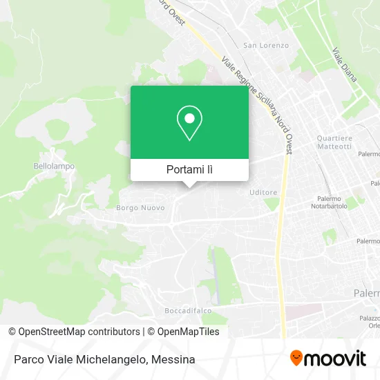 Mappa Parco Viale Michelangelo