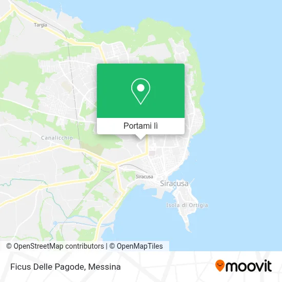 Mappa Ficus Delle Pagode