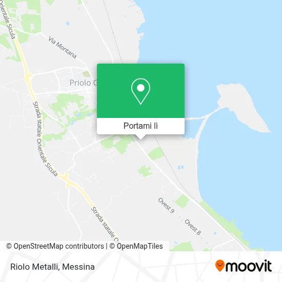 Mappa Riolo Metalli