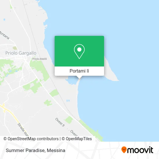 Mappa Summer Paradise