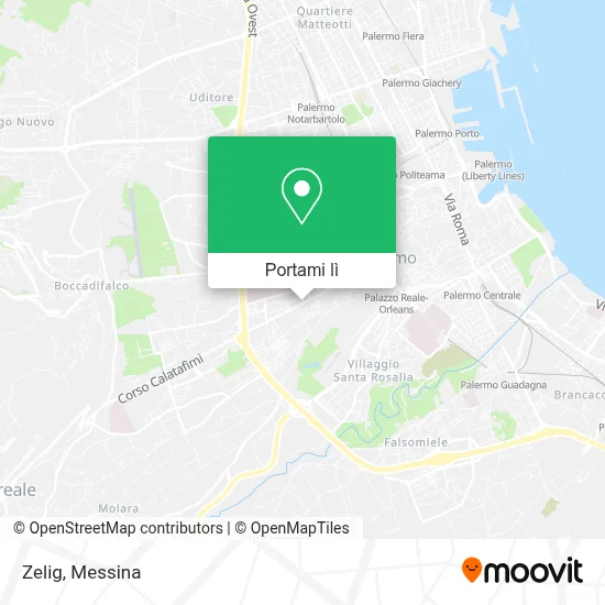 Mappa Zelig
