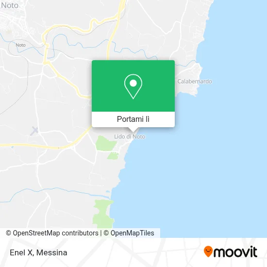 Mappa Enel X