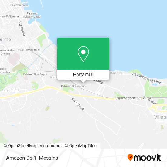 Mappa Amazon Dsi1