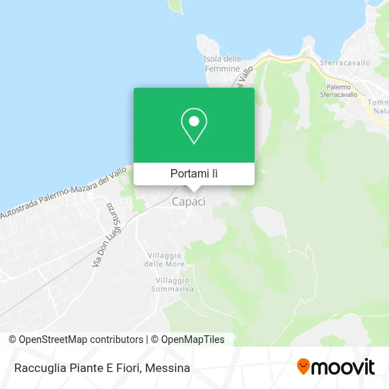 Mappa Raccuglia Piante E Fiori