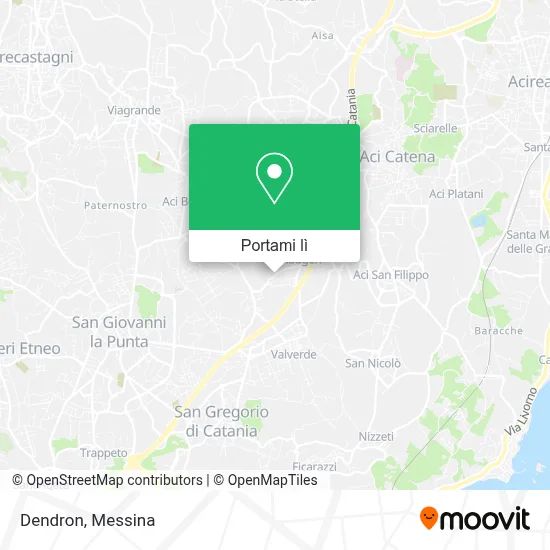 Mappa Dendron