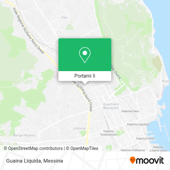 Mappa Guaina Liquida