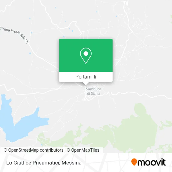 Mappa Lo Giudice Pneumatici