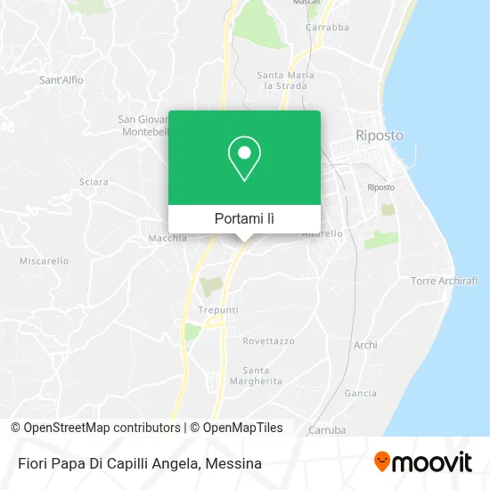 Mappa Fiori Papa Di Capilli Angela