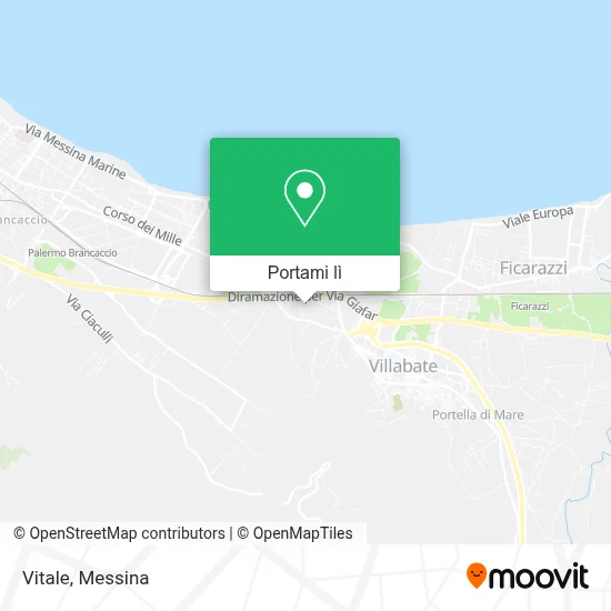 Mappa Vitale