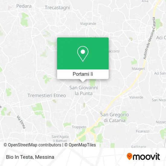 Mappa Bio In Testa