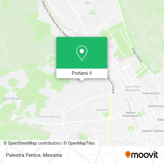 Mappa Palestra Fenice