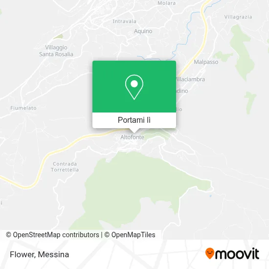 Mappa Flower
