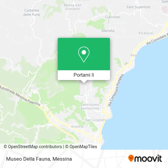 Mappa Museo Della Fauna
