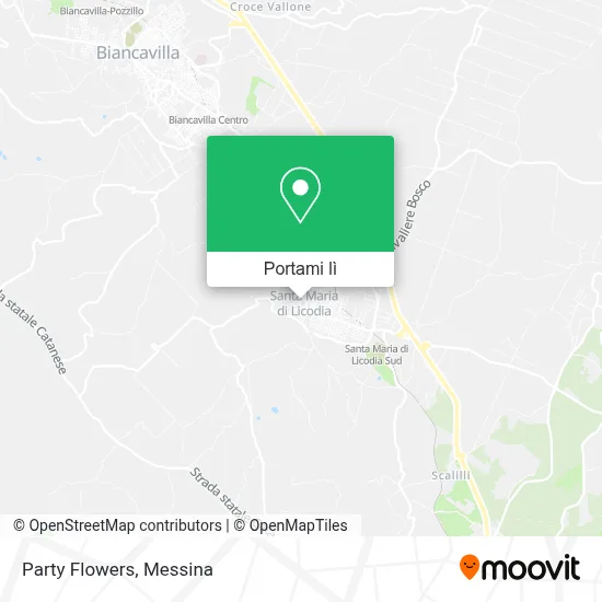 Mappa Party Flowers