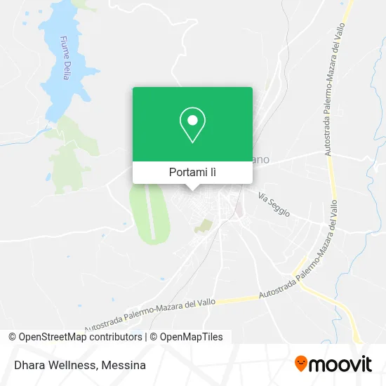 Mappa Dhara Wellness