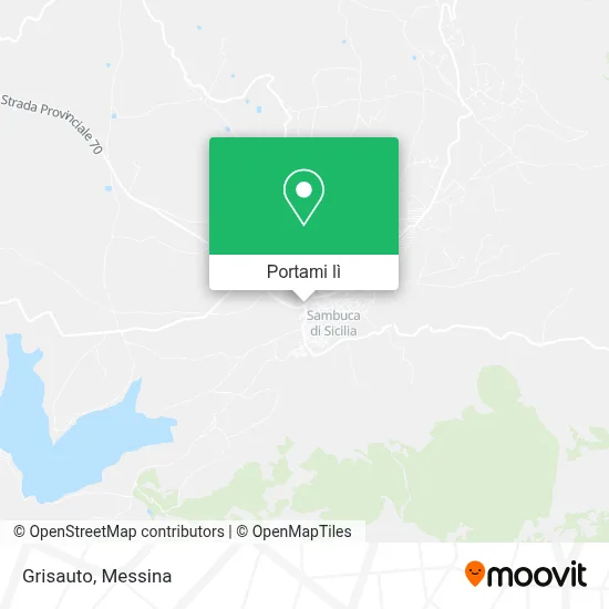Mappa Grisauto